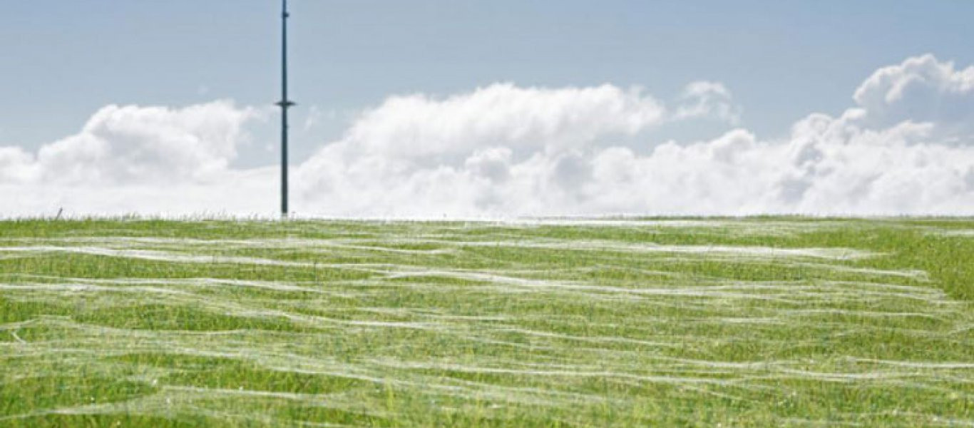 Αλεξίπτωτο-αράχνη: Ιστοί κάλυψαν ολόκληρο λιβάδι! (φωτό, βίντεο)